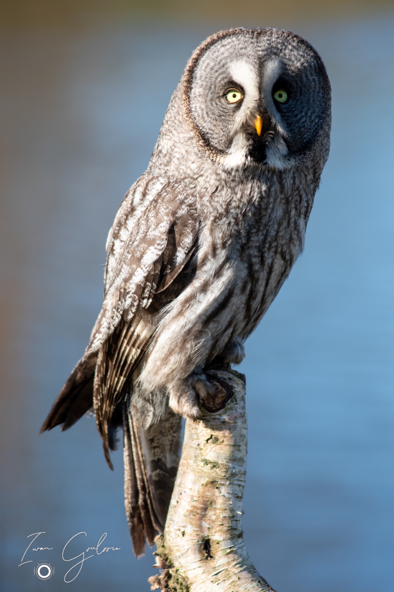 04 maart 2022 153241  5D44187